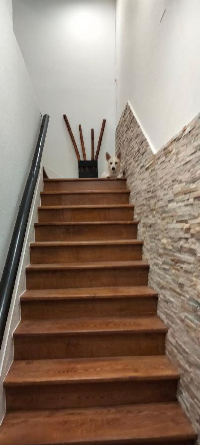 Casa Dositeo Apartment ซาร์เรีย ภายนอก รูปภาพ